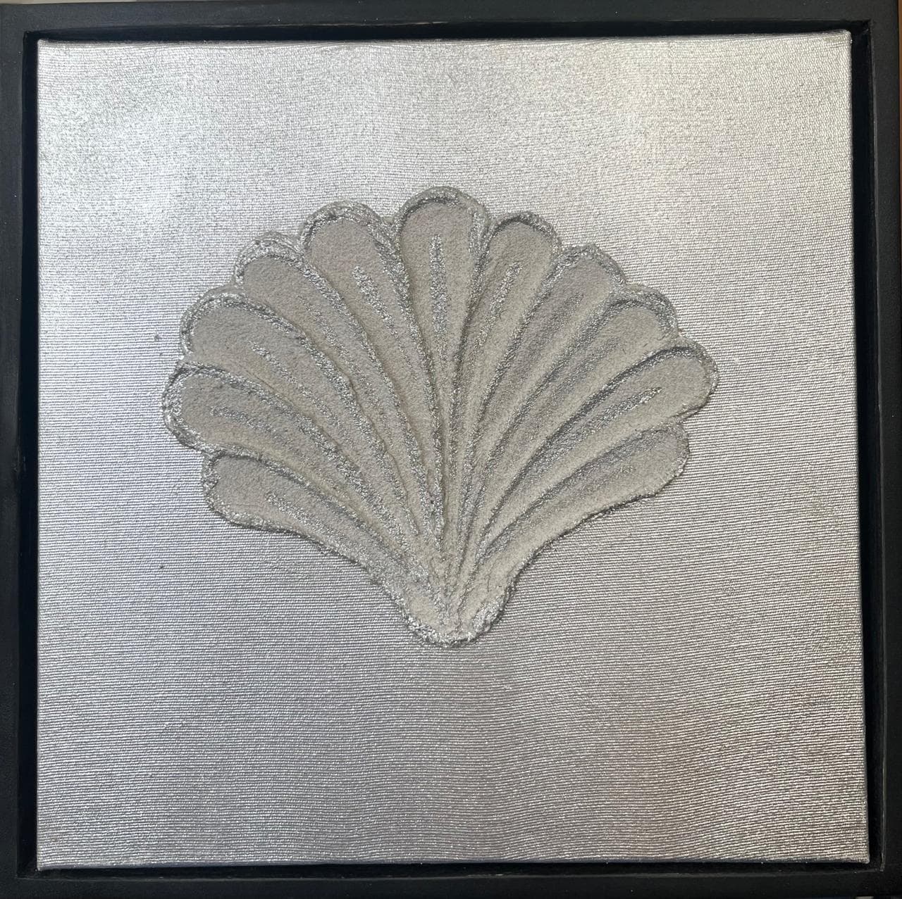 As Conchas do Mar não são Iguais