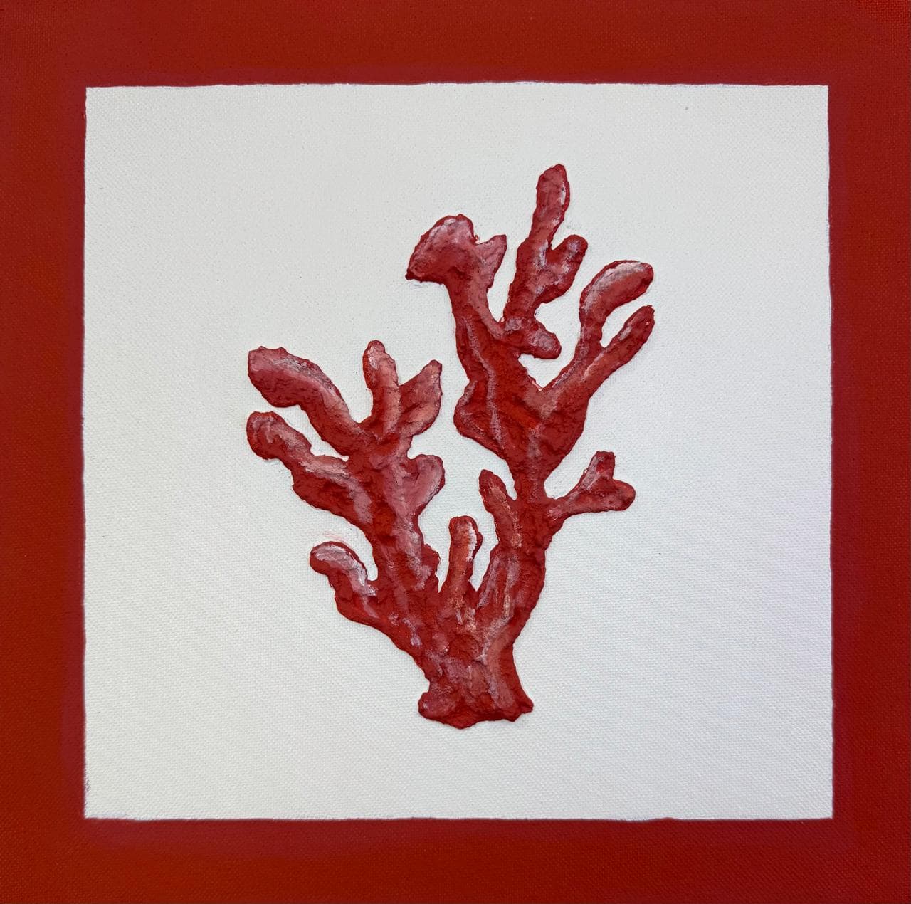 Dupla Coral e Concha - Coral