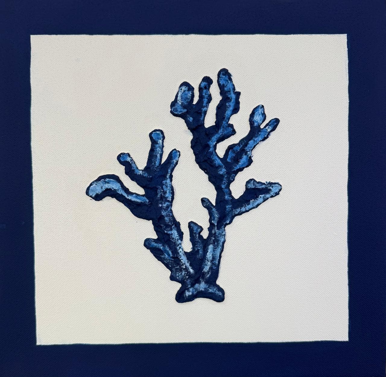 Dupla Coral e Concha - Azul
